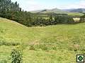 thn_NZ leden-unor 2006 114.jpg